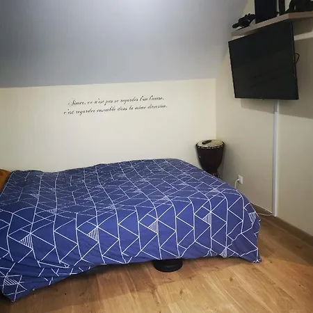 Le Mans Fay Sa Course Homestay